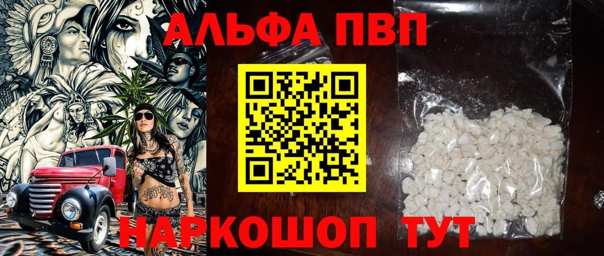 Альфа ПВП СК КРИС Сыктывкар