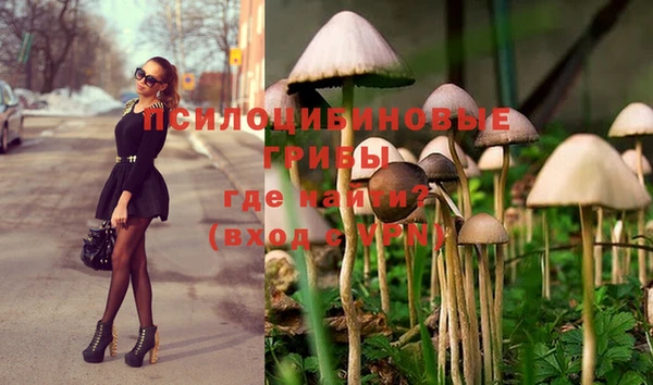 Альфа ПВП Михайлов