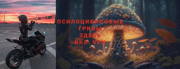 хмурый Наволоки
