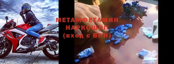 сатива Михайловск