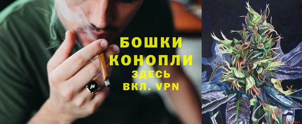 сатива Михайловск