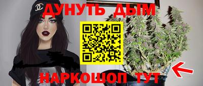 прущие крисы Камышлов