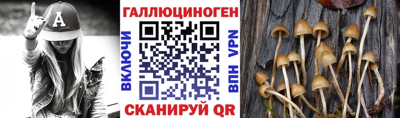 купить наркоту  Сыктывкар  Галлюциногенные грибы ЛСД 