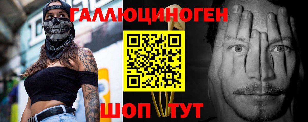 Сыктывкар  Галлюциногенные грибы Psilocybine cubensis  Вход с VPN 